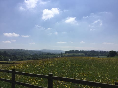 View from the decking