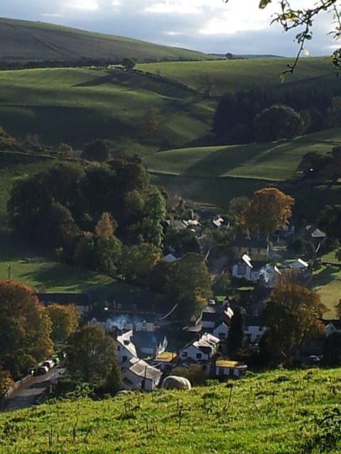 Llanarmon from above