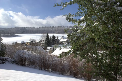 View in the winter