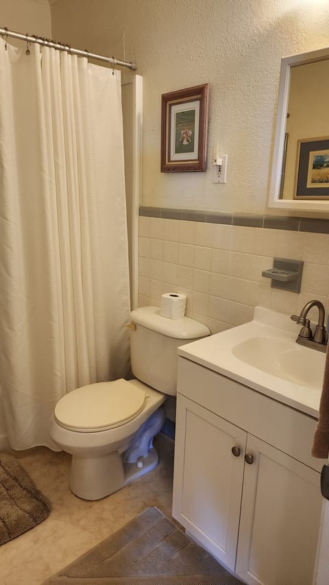Hair dryer, towels, toilet paper