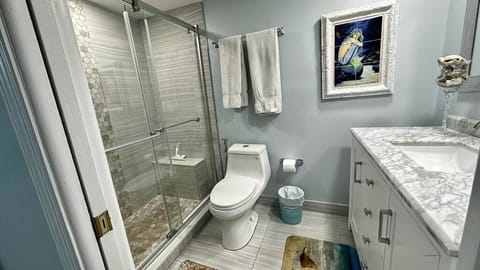 Combined shower/tub, hair dryer, bidet, towels