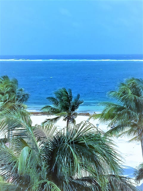 Sun loungers, beach towels