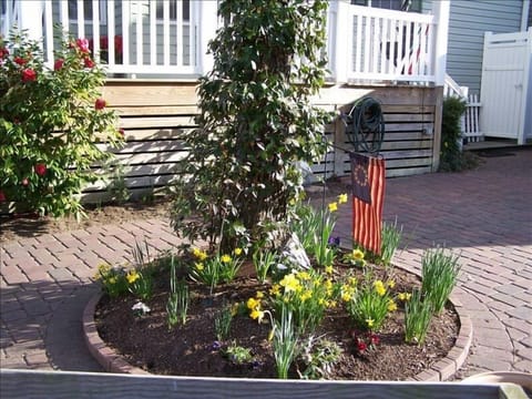 side yard with paving stone