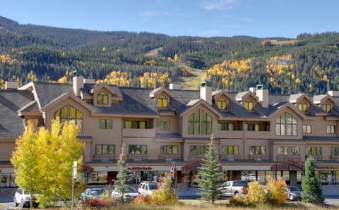 Gateway Lodge-internet/sports cafe, heated pool, hot tub, exercise room, day spa