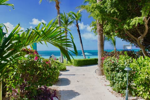 On the beach, sun loungers, beach towels