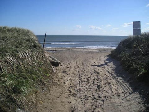 On the beach, sun loungers