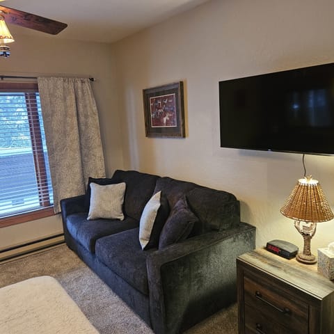 Smart TV, fireplace, DVD player, books