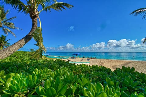 On the beach, sun loungers, beach towels