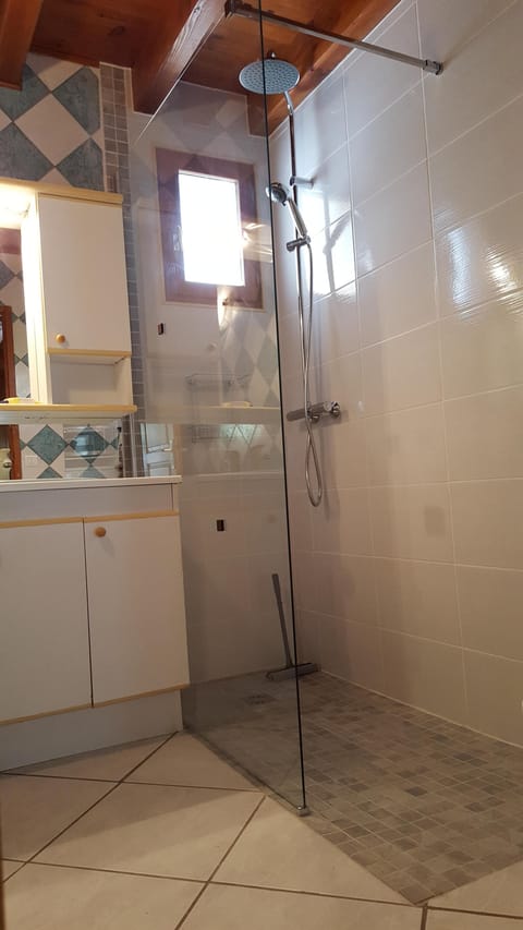 Combined shower/tub, hair dryer