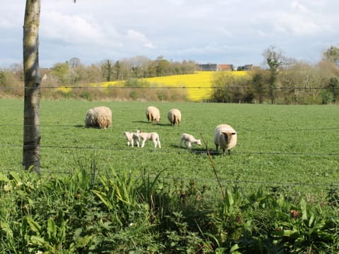 View across from entrance to property