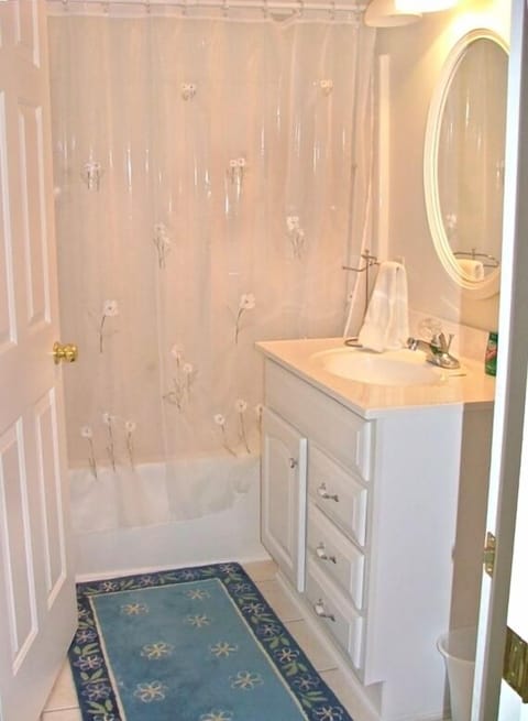 Shower, jetted tub, hair dryer, bidet