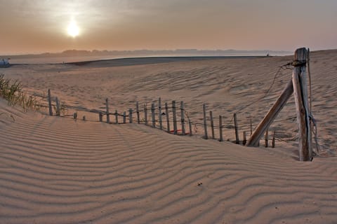 On the beach, sun loungers