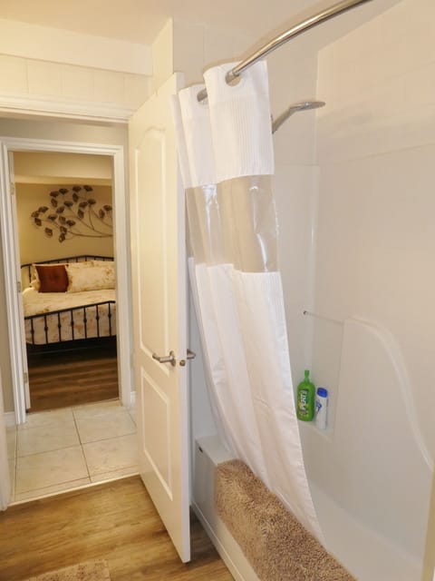 Combined shower/tub, hair dryer, towels, soap