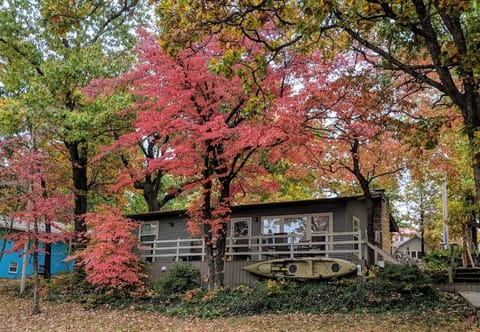 Fall at Laketime Cottage. Okla. Forestry certified largest dogwood tree in Okla.