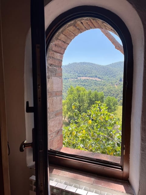 View from the kitchen