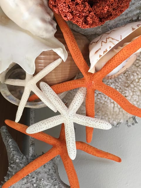 Ocean vacation. Seal Beach - The Starfish Cottage is ready for your vacation. 🌴🌊