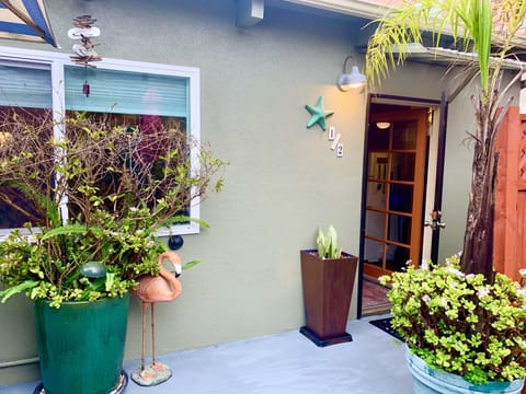 #starfishcottage #beachlife 😎😎😎