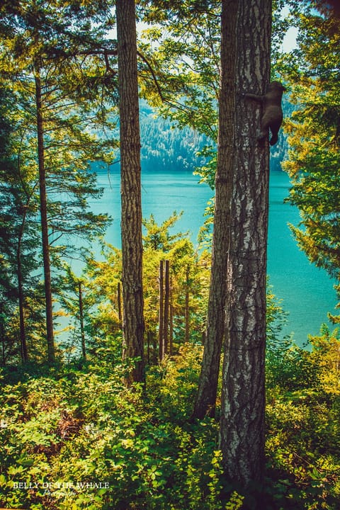 A surreal view of the bay from the back patio.