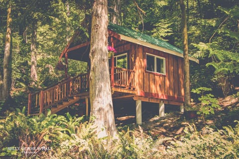 A lovely cabin for those that would like a some privacy or a little seclusion.