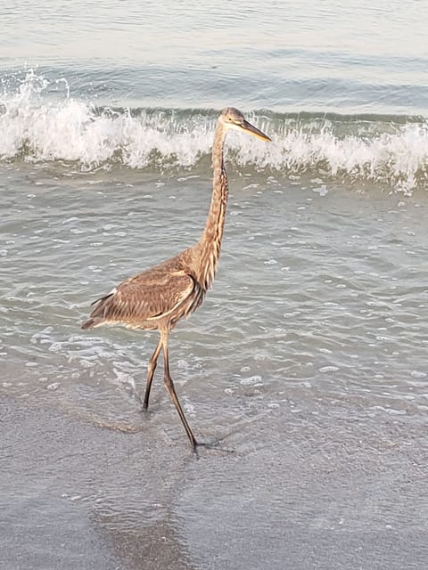 On the beach