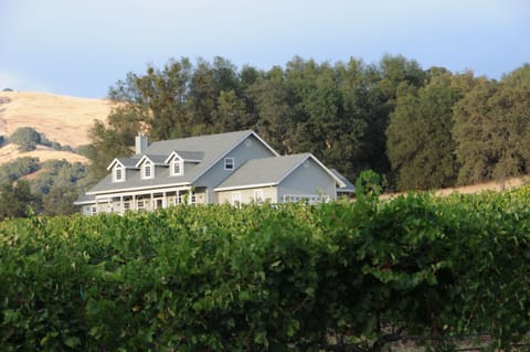 Enjoy Life at our Beautiful Vineyard Estate 