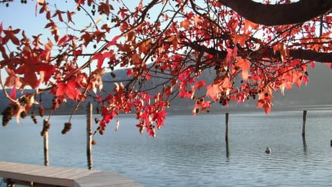 Fall colors across the lake