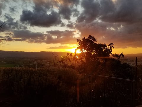 Magnificent sunset views from garden and  windows