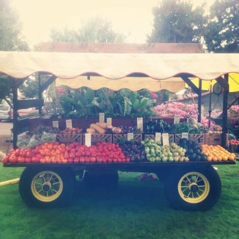 Carp farm cart