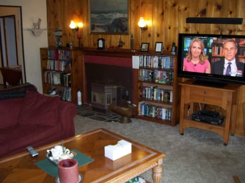 LIVING ROOM PELLET STOVE
VIDEOS, BOOKS