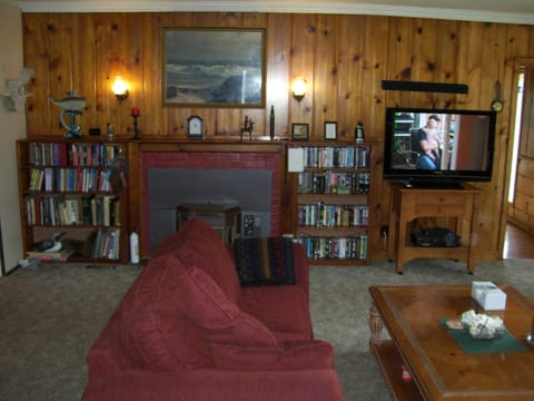 Smart TV, DVD player, books, video library