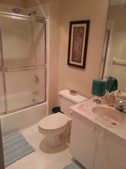Separate tub and shower, hair dryer, towels, soap