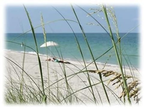 Beach | Beach nearby, sun loungers, beach towels