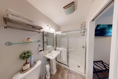 Combined shower/tub, hair dryer, towels