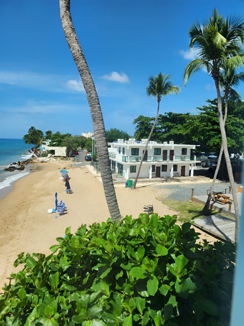 On the beach, sun loungers, beach towels