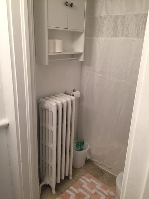 Combined shower/tub, hair dryer, towels, toilet paper