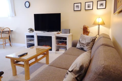 Smart TV, fireplace, DVD player, music library