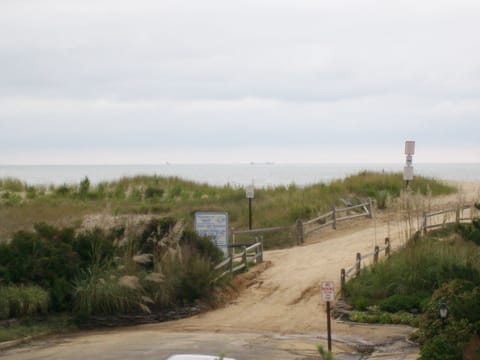 Protected dunes at end of 15th street make a beautiful path to your beach.