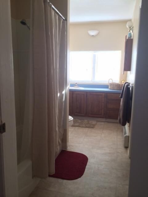 Combined shower/tub, jetted tub, hair dryer, towels