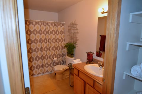 Combined shower/tub, hair dryer, towels, shampoo