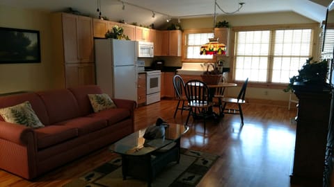 TV, fireplace, books