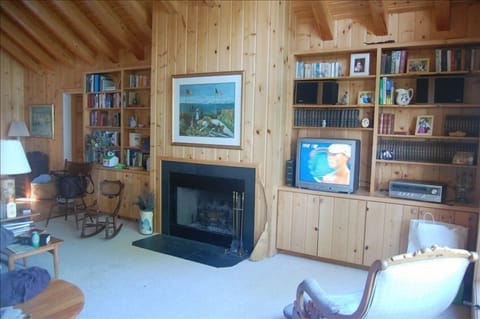 TV, fireplace, DVD player, books