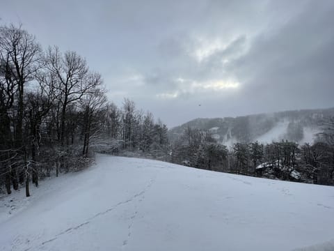 Some of the view from the balcony in winter   