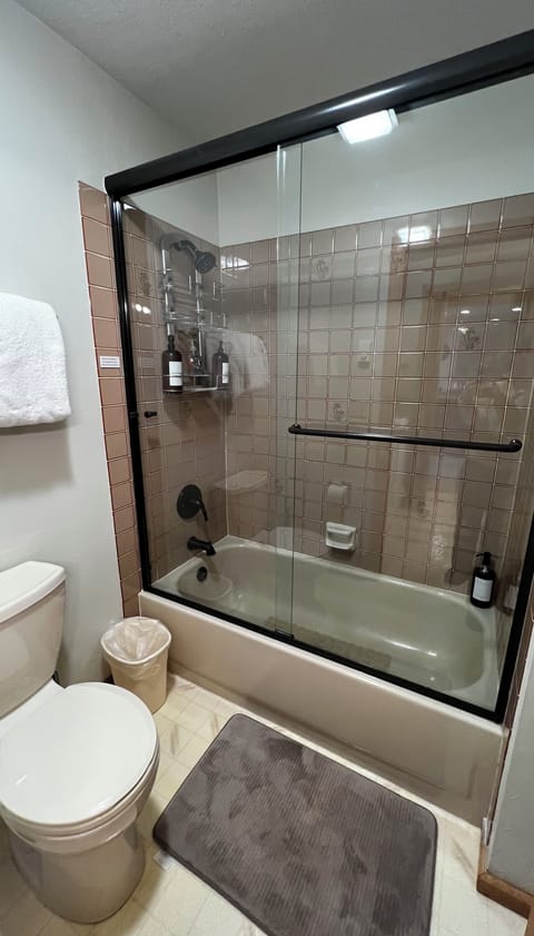 Combined shower/tub, hair dryer, towels, soap