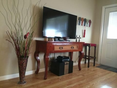 Large 50' HD LED TV with BluRay DVD Player and WiFi internet