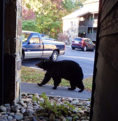 Looking right out your front door!