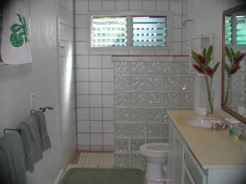 bathroom with roomy glass block tile shower