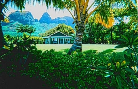Classic Hawaiian Cottage tucked directly between the mountains & ocean