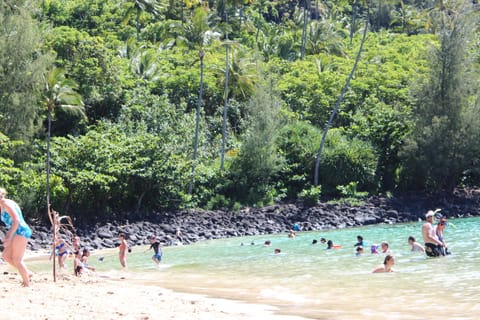 Beach nearby, sun loungers, beach towels