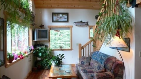 Living room w/ Sat. TV and happy houseplants. See the 34" rainbow from the Kenai
