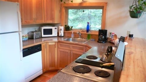 Mystic Lodge custom kitchen with all the amenities